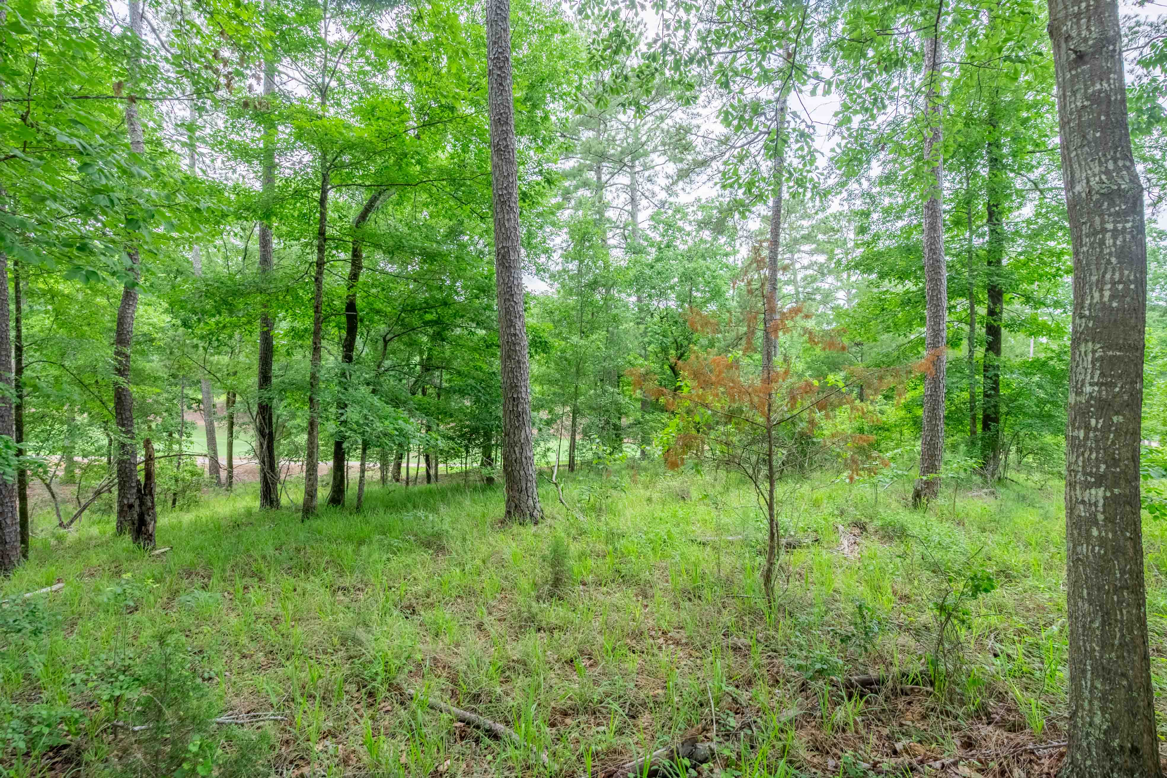 1101 Scull Shoals Drive image 15
